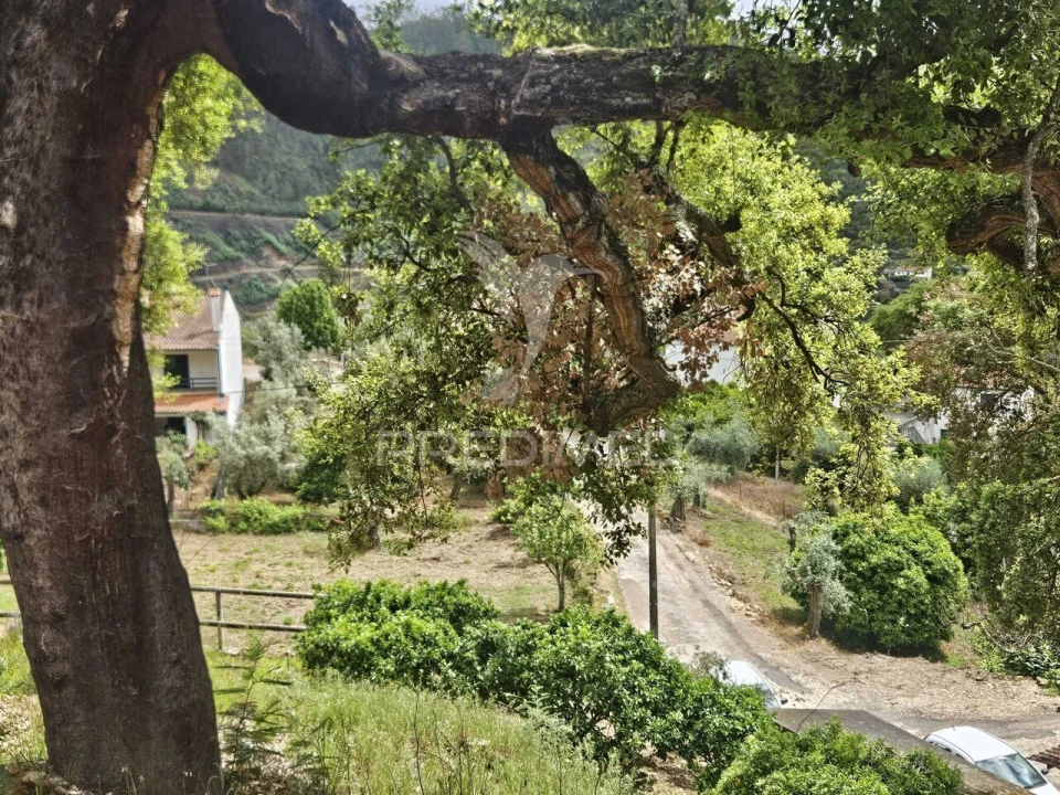 Terreno para Venda em Nossa Senhora do Pranto Foto 5