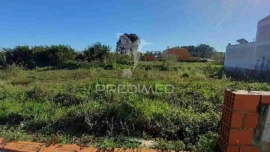 Terreno para Venda em Vagos e Santo António