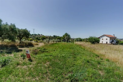 Terreno para Venda em Três Povos