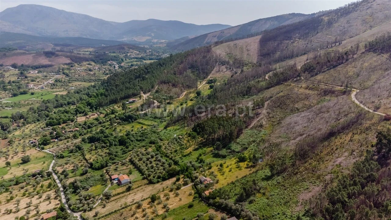 Terreno para Venda em Paul Foto 10