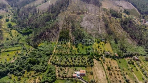 Terreno para Venda em Paul