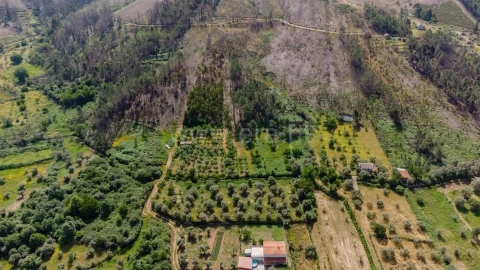 Terreno para Venda em Paul