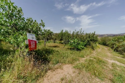 Terreno para Venda em Paul