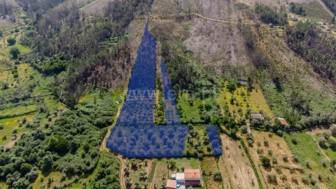 Terreno para Venda em Paul