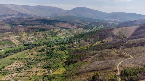 Terreno para Venda em Paul