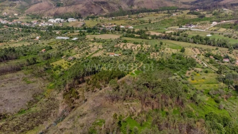 Terreno para Venda em Paul