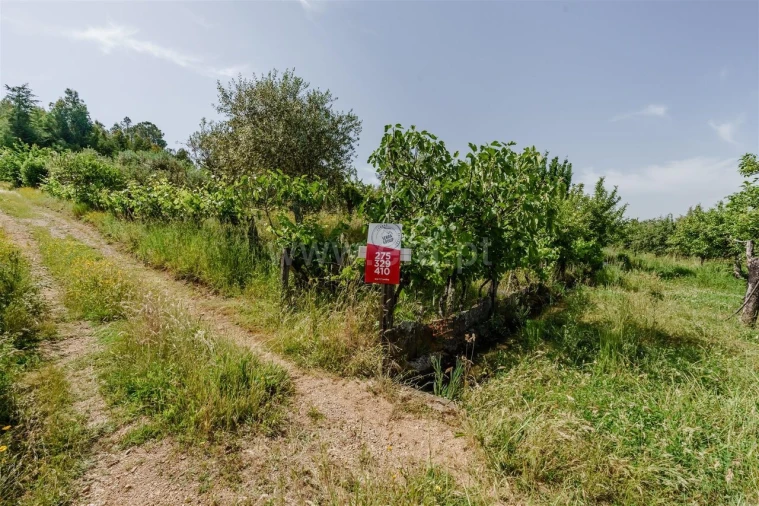 Terreno para Venda em Paul Foto 2