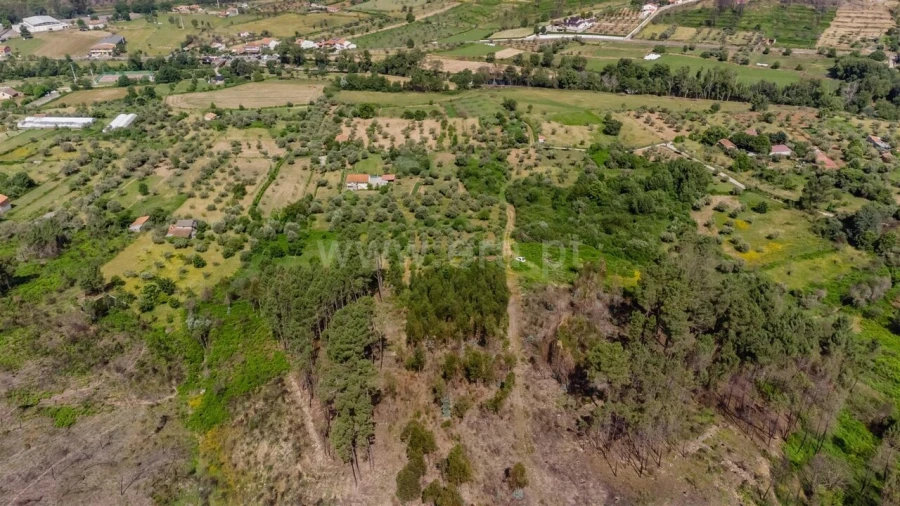 Terreno para Venda em Paul Foto 16