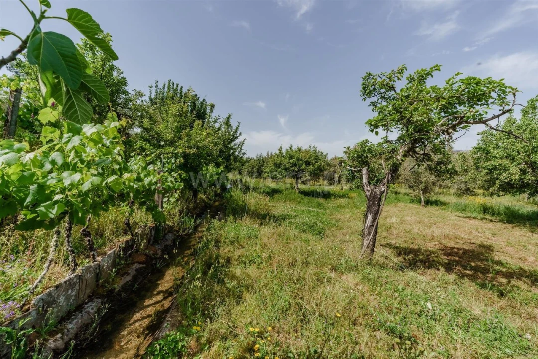 Terreno para Venda em Paul Foto 5