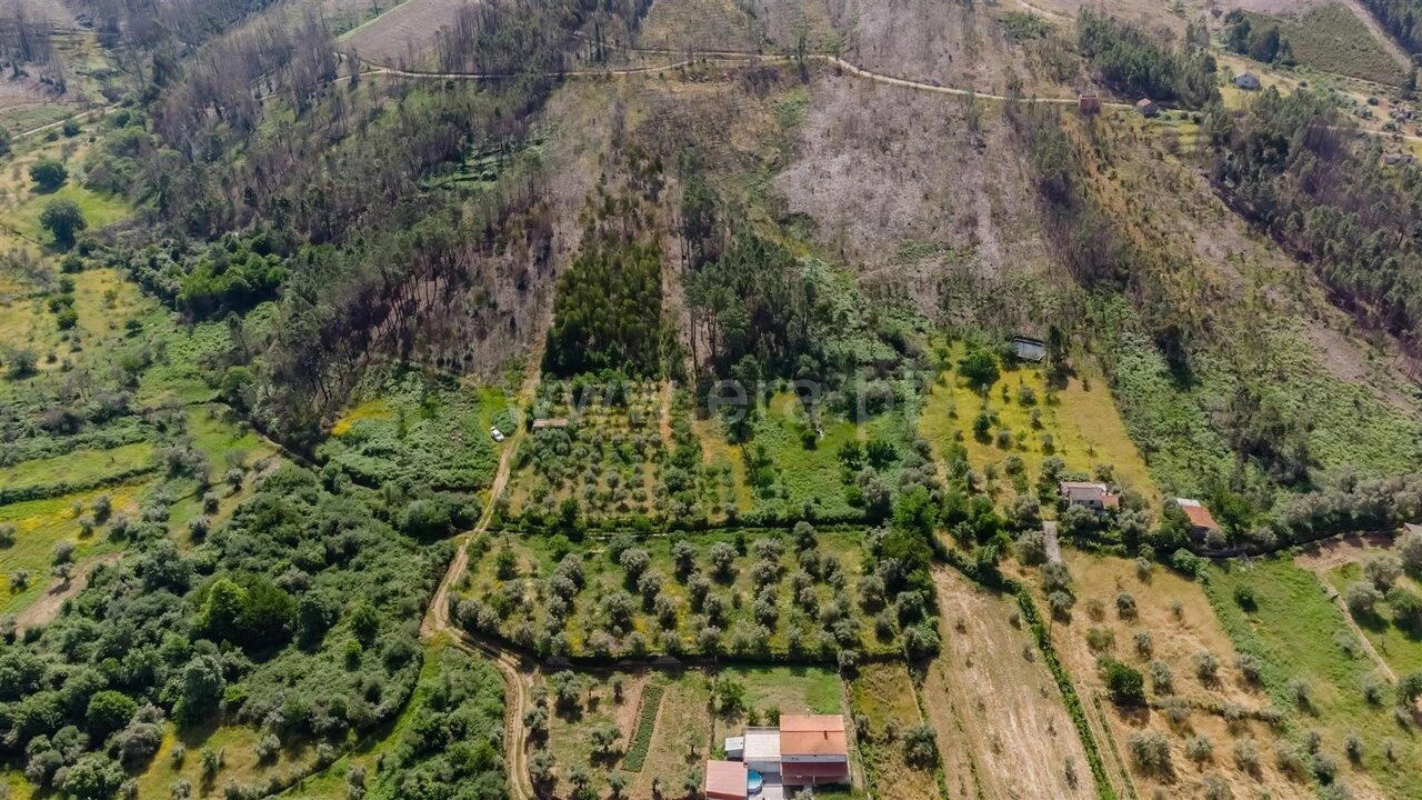 Terreno para Venda em Paul Foto 13