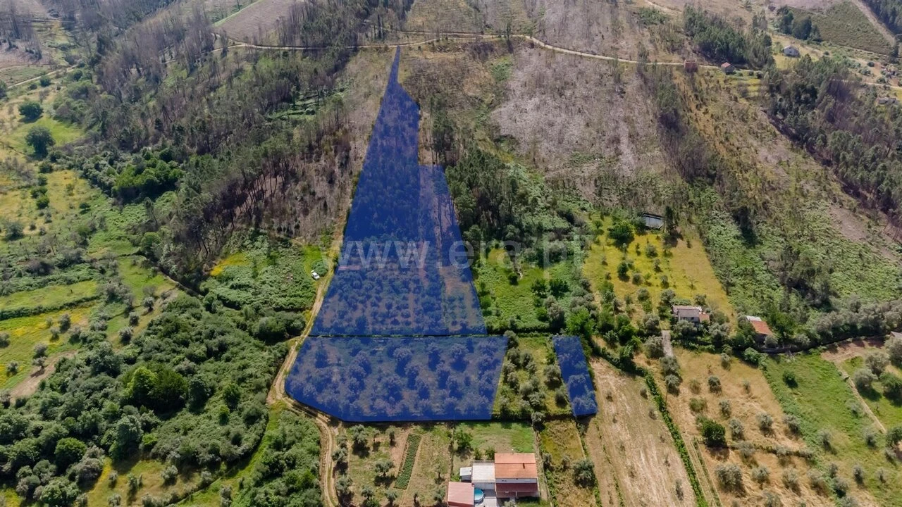 Terreno para Venda em Paul Foto 17