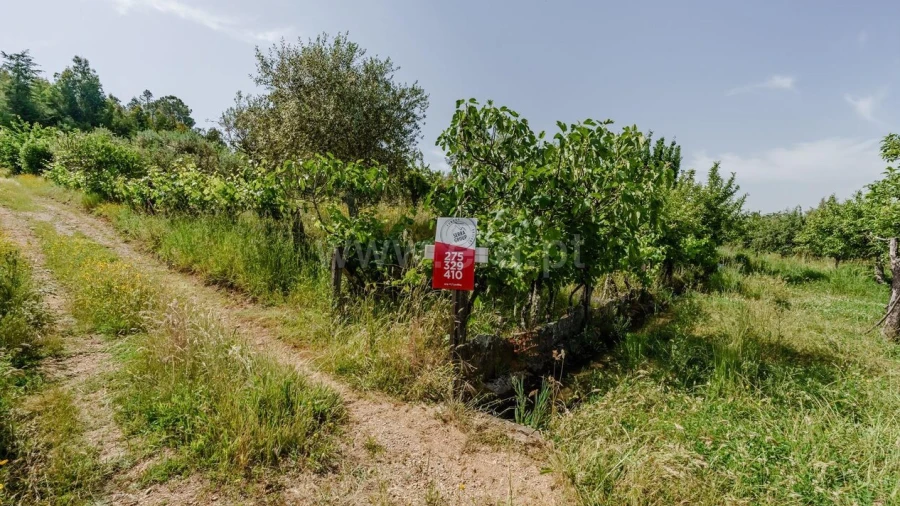 Terreno para Venda em Paul