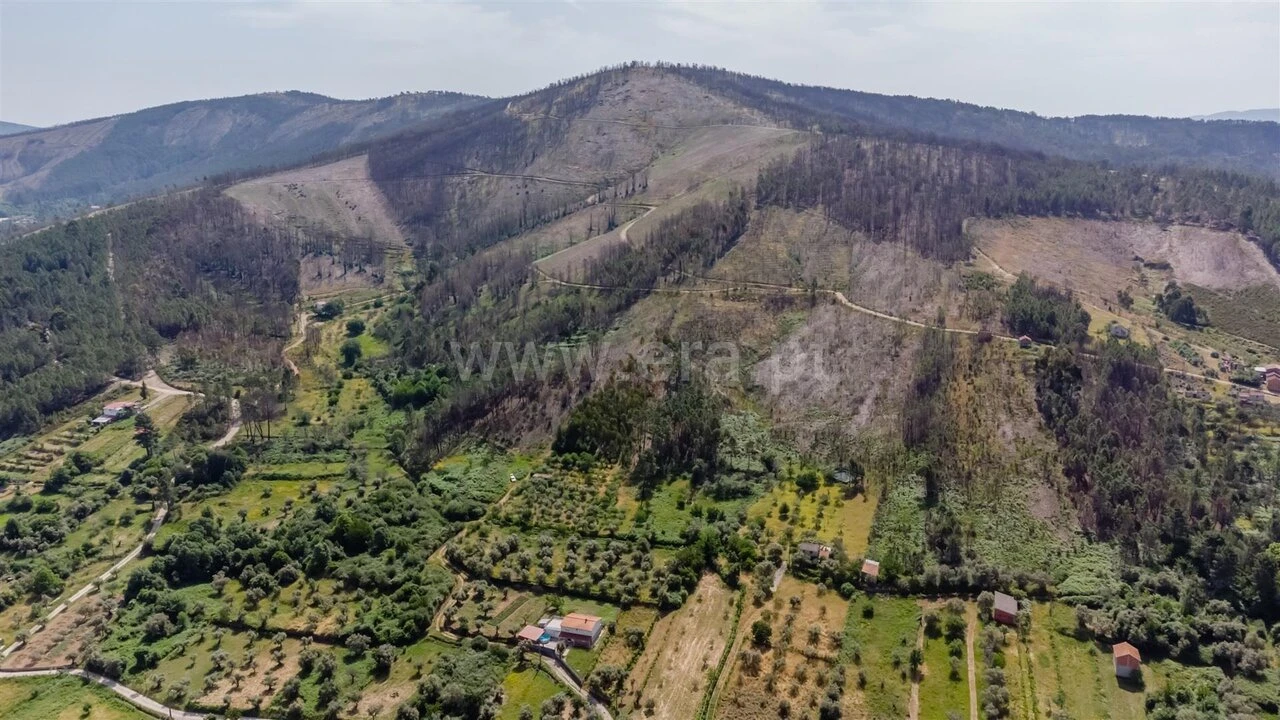 Terreno para Venda em Paul Foto 11