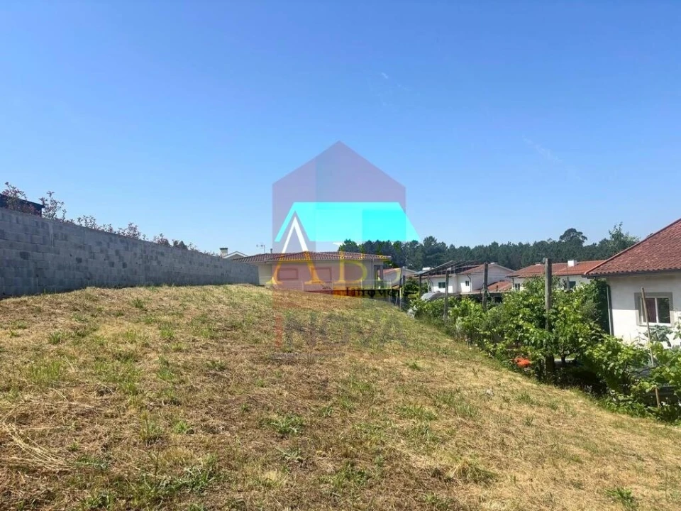Terreno para Venda em Bico Foto 4