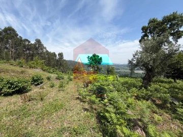 Moradia T3 para Venda em Vila Verde e Barbudo