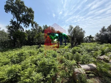 Moradia T3 para Venda em Vila Verde e Barbudo