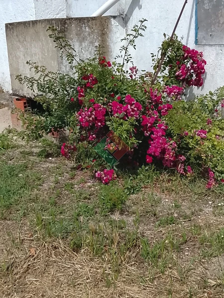 Moradia T3 para Venda em Foros de Arrão Foto 8