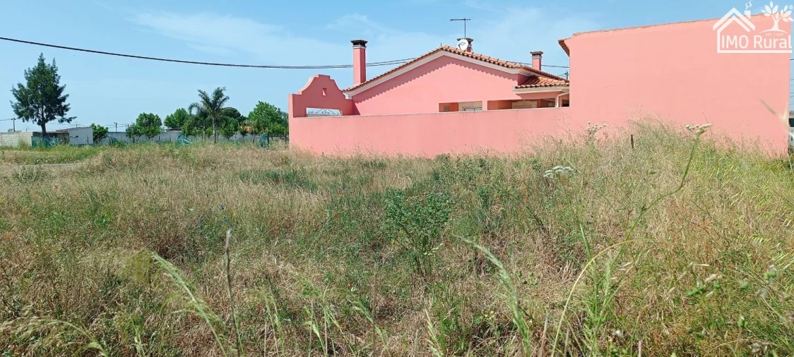 Terreno para Venda em Benfica do Ribatejo Foto 8