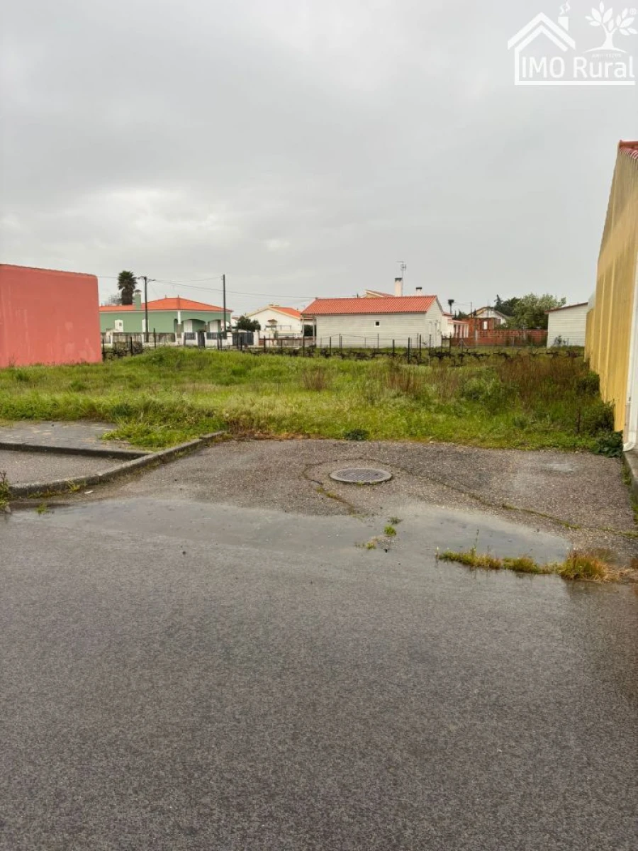 Terreno para Venda em Benfica do Ribatejo Foto 5