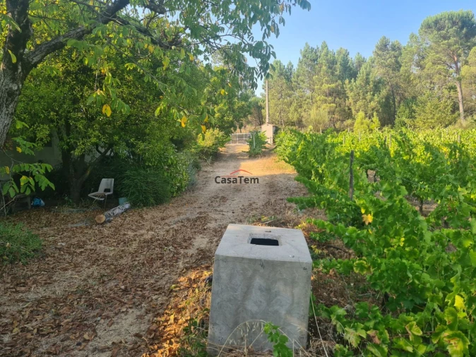 Terreno para Venda em Fragosela Foto 3