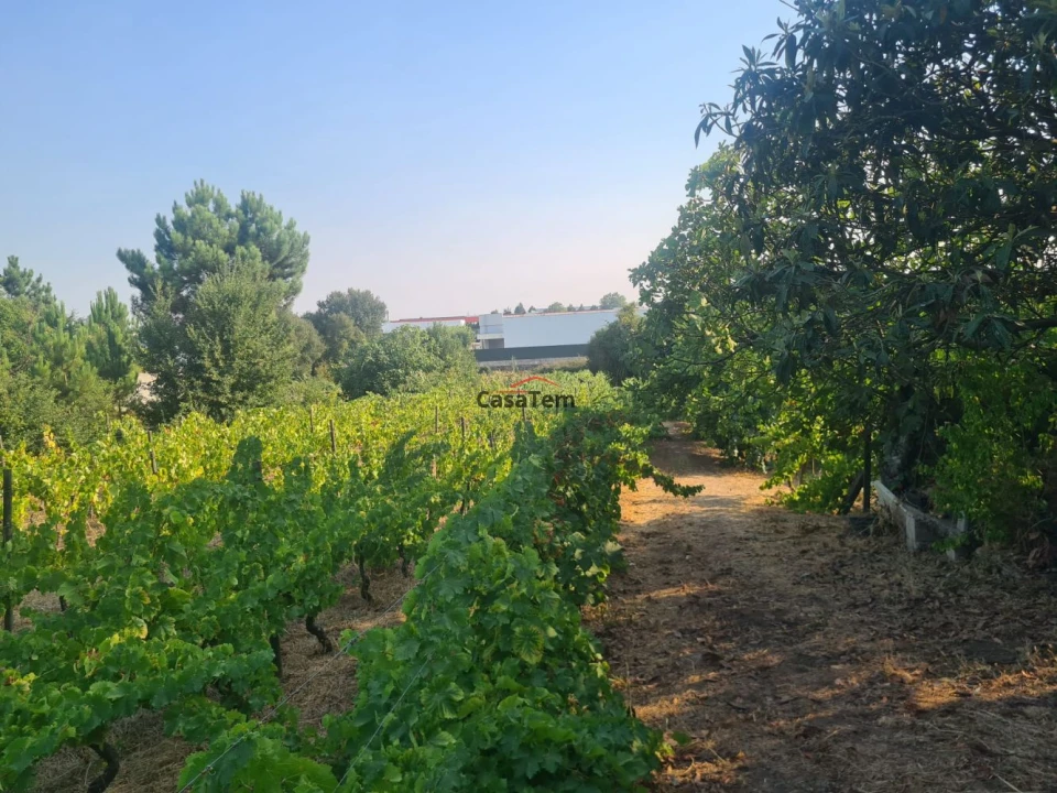 Terreno para Venda em Fragosela Foto 6