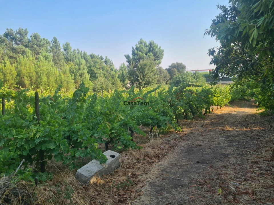 Terreno para Venda em Fragosela Foto 1
