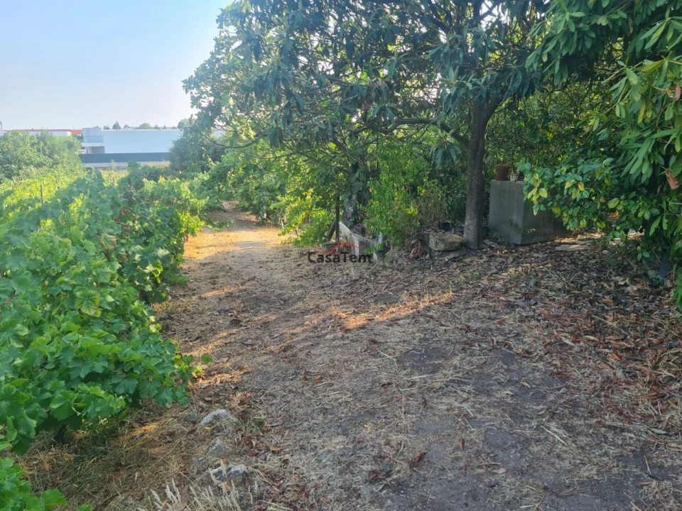 Terreno para Venda em Fragosela Foto 5