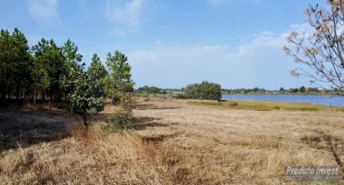 Terreno para Venda em Soalheira