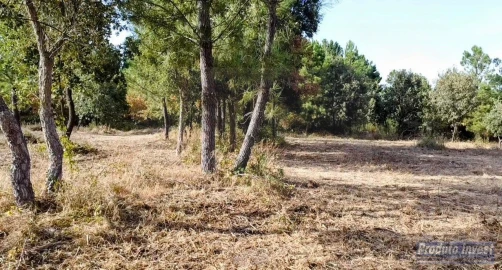 Terreno para Venda em Soalheira