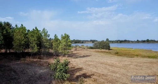 Terreno para Venda em Soalheira