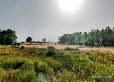 Terreno para Venda em Soalheira