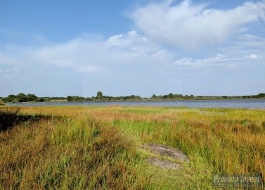 Terreno para Venda em Soalheira