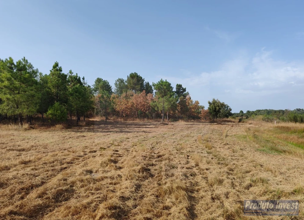 Terreno para Venda em Soalheira Foto 20
