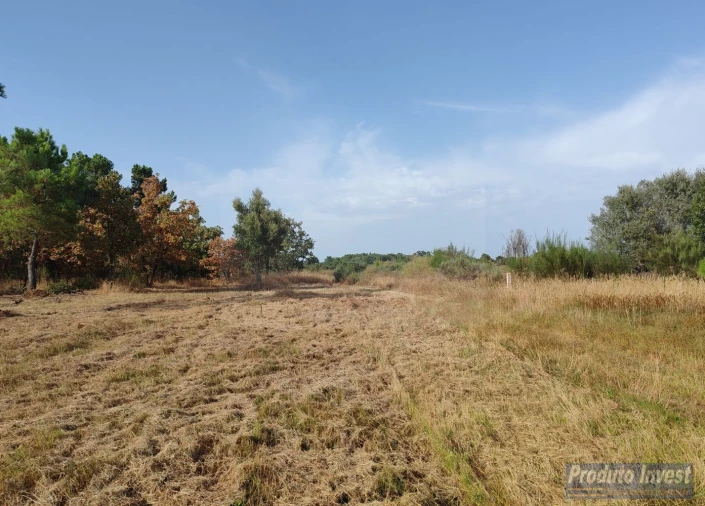 Terreno para Venda em Soalheira Foto 18
