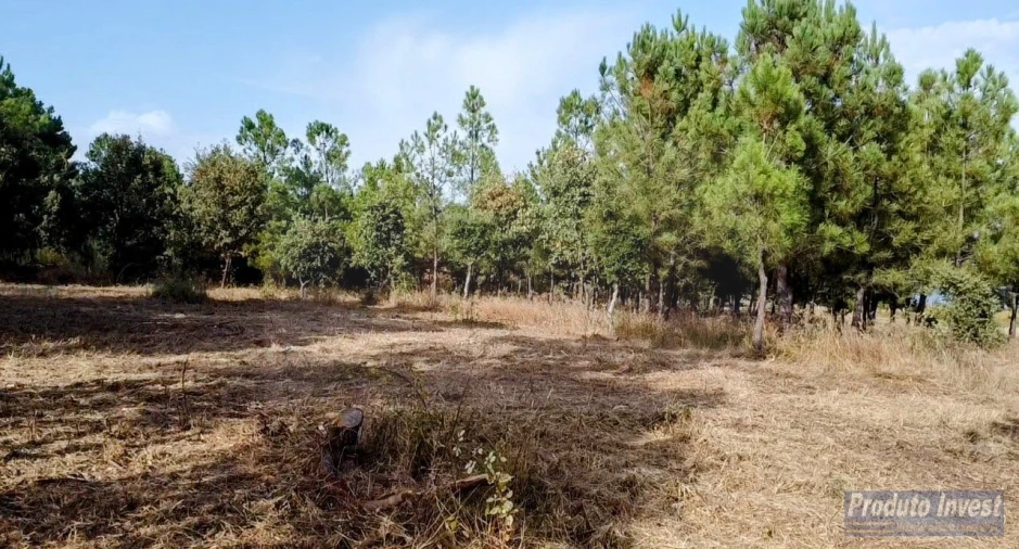 Terreno para Venda em Soalheira Foto 12