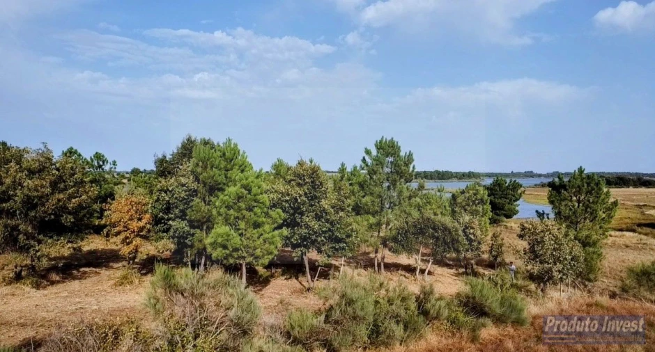 Terreno para Venda em Soalheira Foto 11