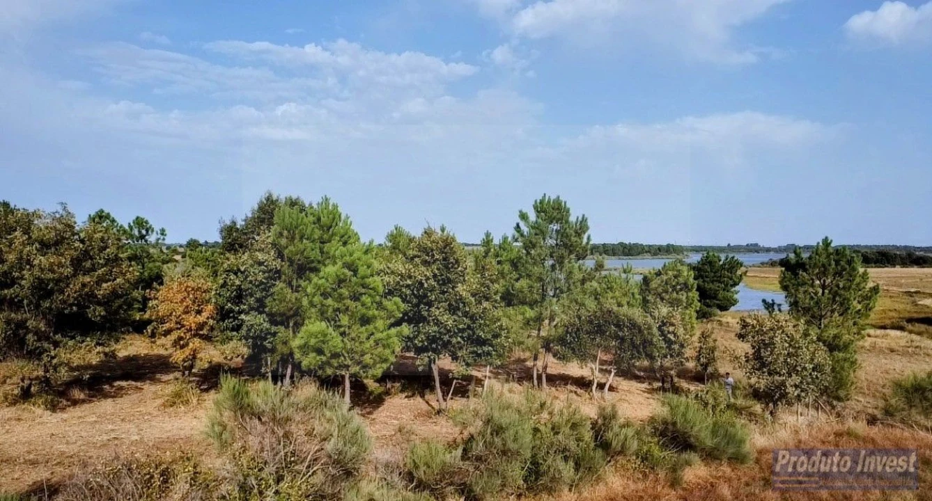 Terreno para Venda em Soalheira Foto 11