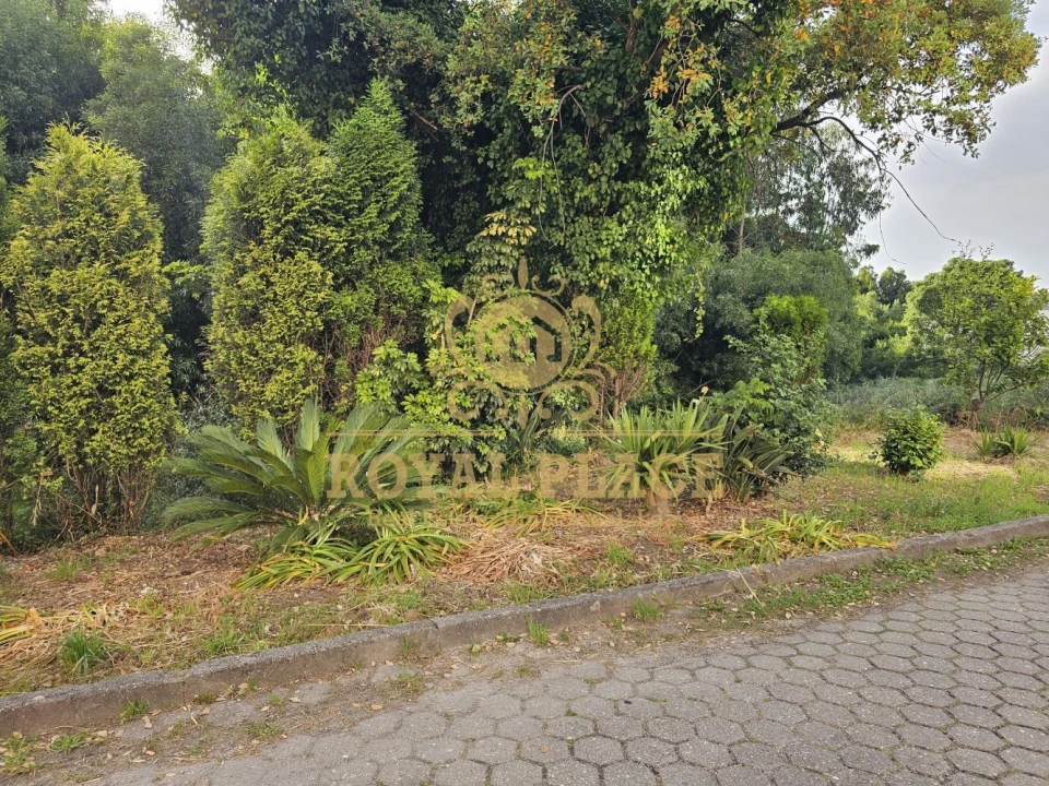 Apartamento T2 para Venda em Santa Maria de Lamas Foto 31