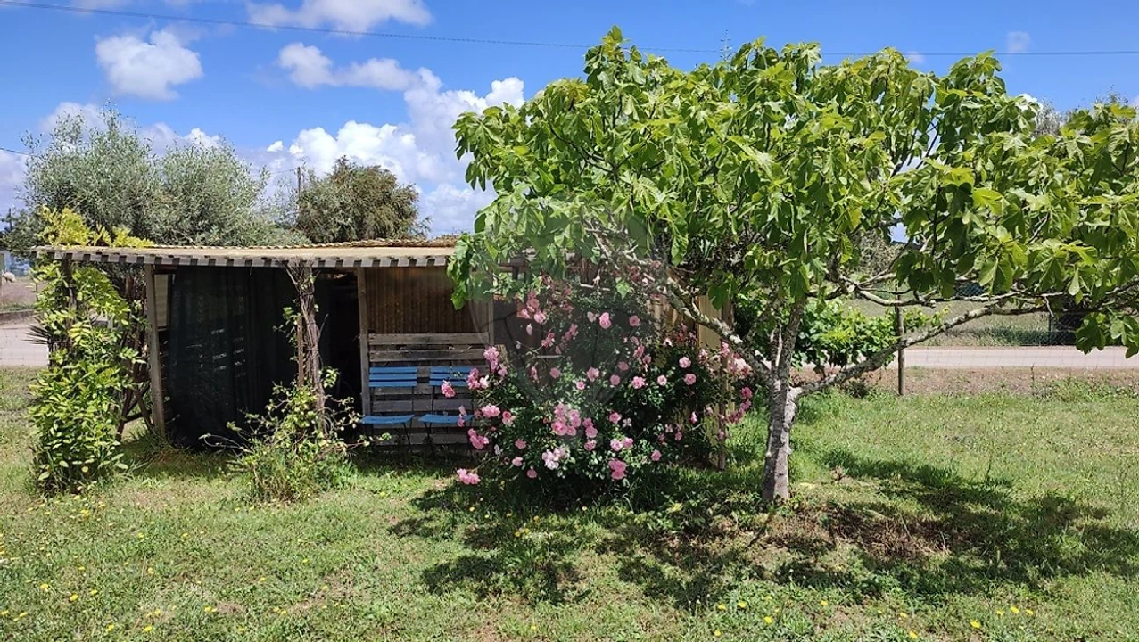 Quinta T3 para Venda em Colos Foto 41