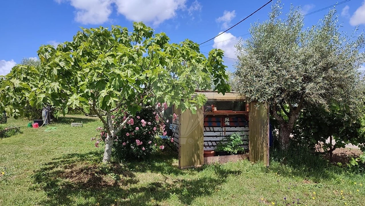 Quinta T3 para Venda em Colos Foto 20