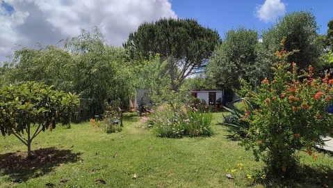 Quinta T3 para Venda em Colos