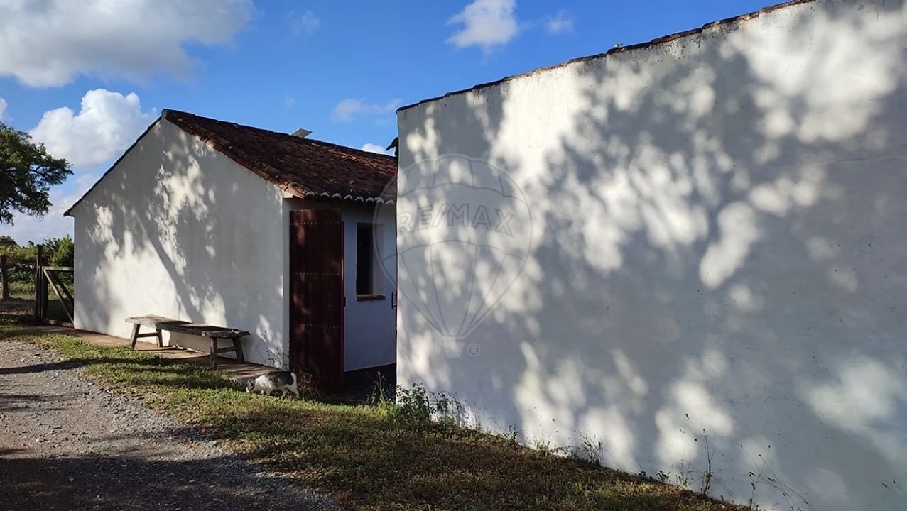 Quinta T3 para Venda em Colos Foto 39