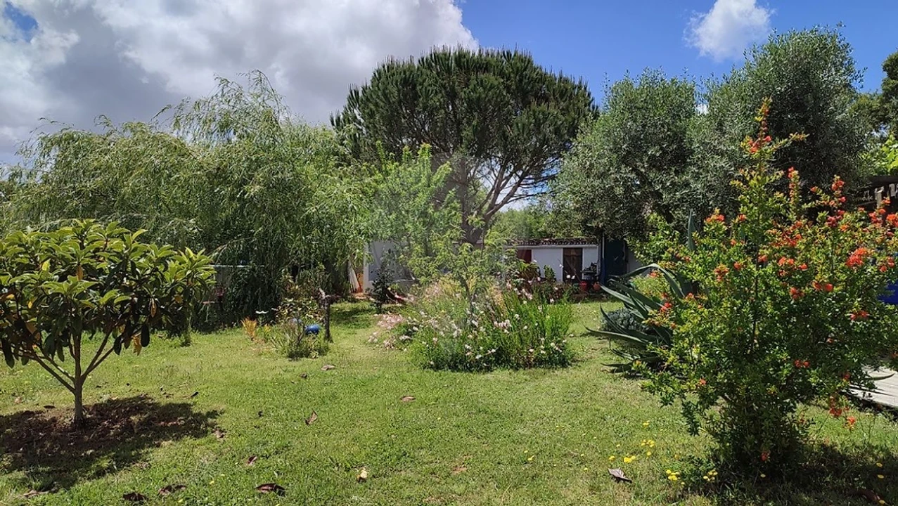 Quinta T3 para Venda em Colos Foto 17