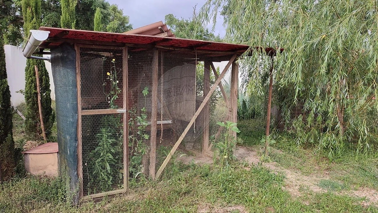 Quinta T3 para Venda em Colos Foto 15