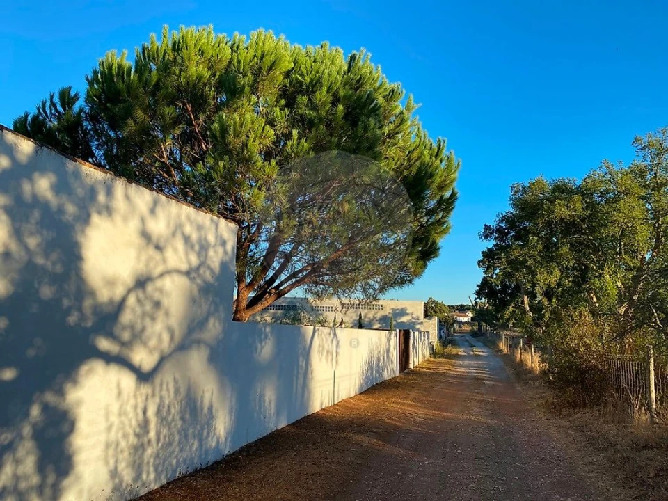 Quinta T3 para Venda em Colos Foto 21