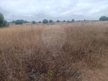 Terreno para Venda em Palmela