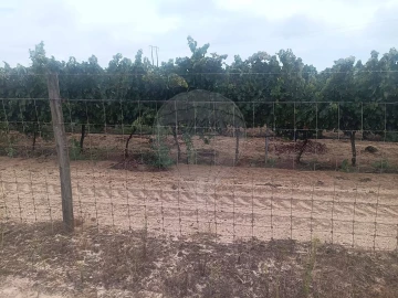 Terreno para Venda em Palmela