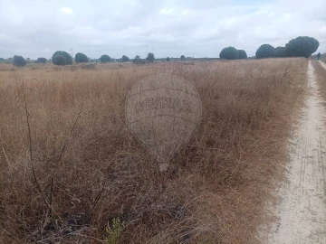 Terreno para Venda em Palmela