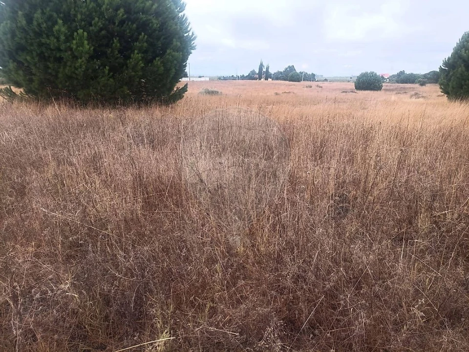 Terreno para Venda em Palmela Foto 4