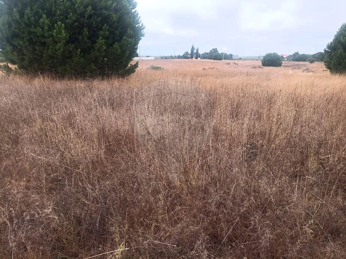 Terreno para Venda em Palmela Foto 4